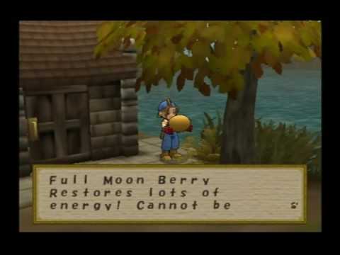 Cheat Game Harvest Moon 3 Save The Homeland Ps2