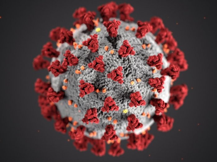 Virus Corona Covid 19