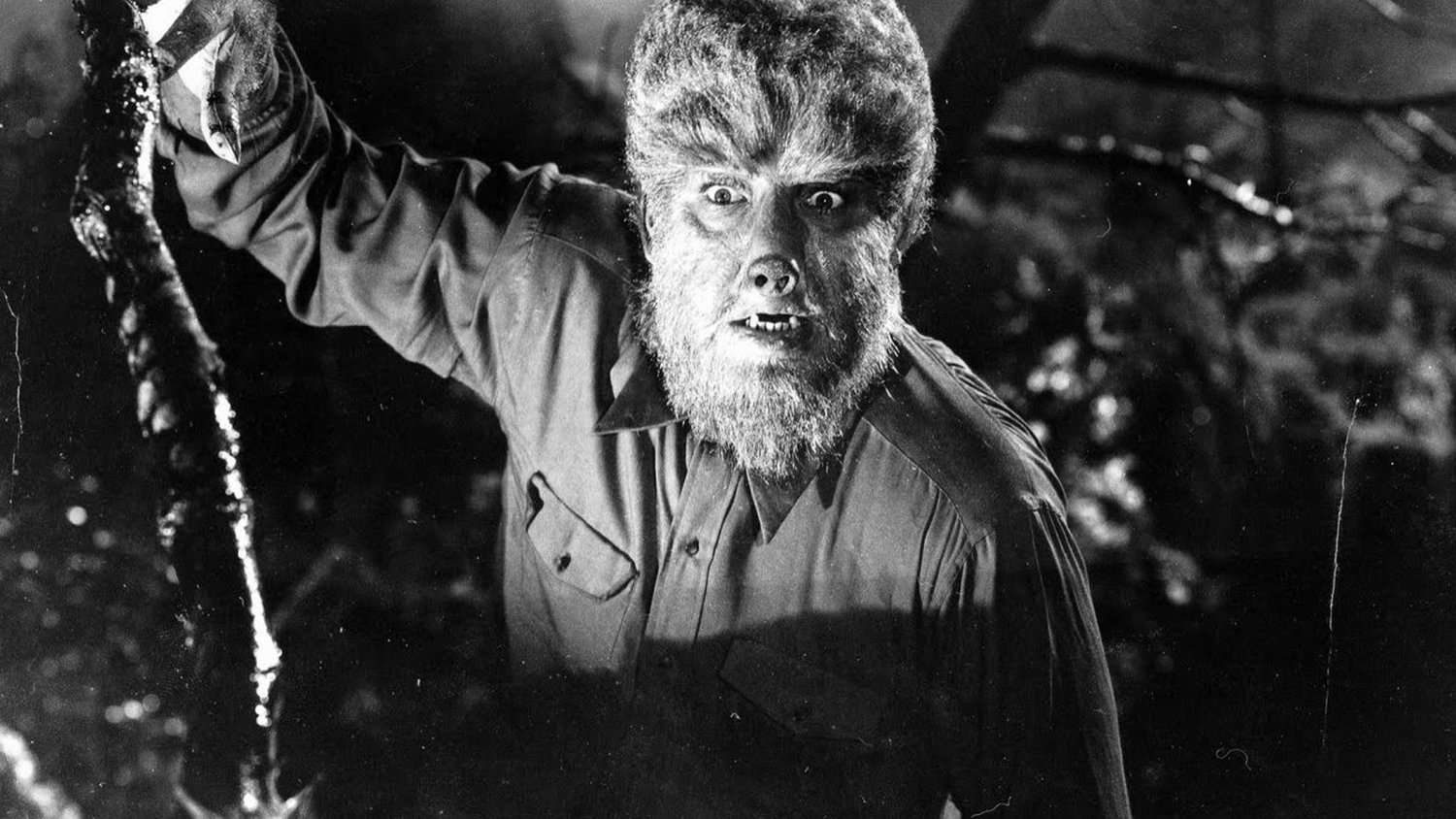 Wolfman 1941 |  Universal Pictures