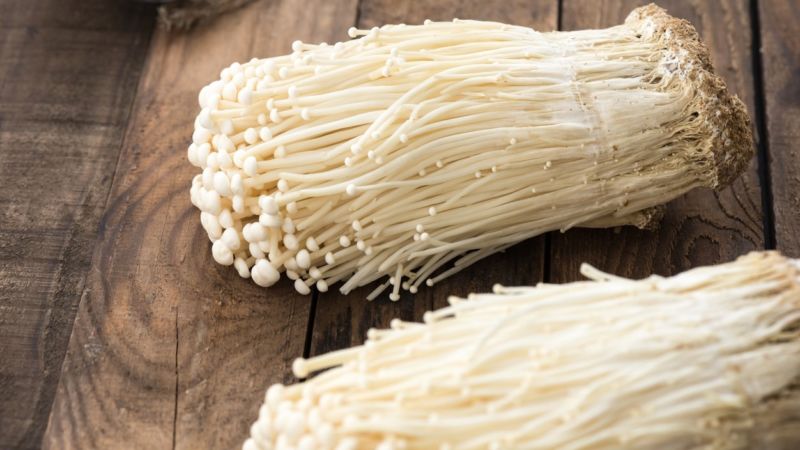 Jamur Enoki Dari Korea Selatan