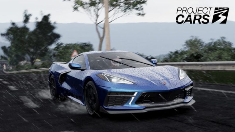 Project Cars 3 Detail