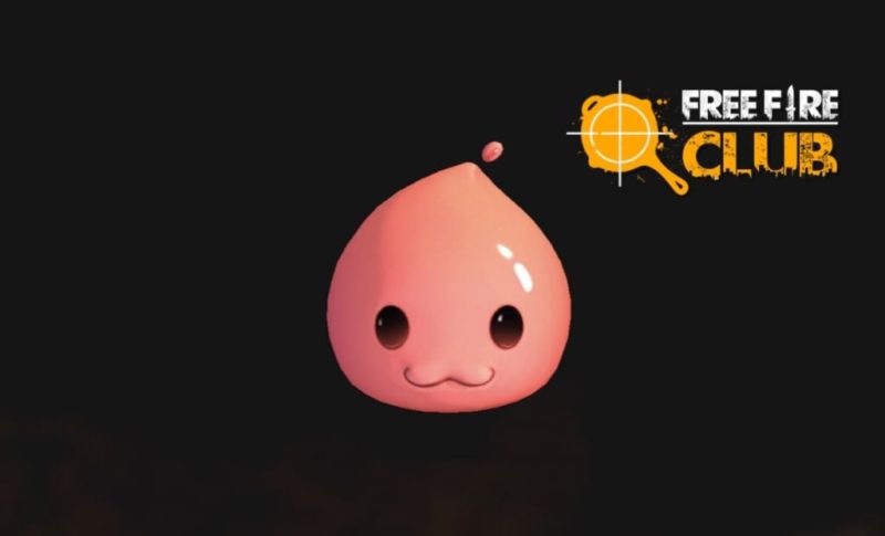 Poring