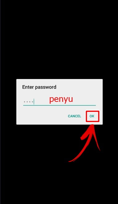 Password Codashop Pro