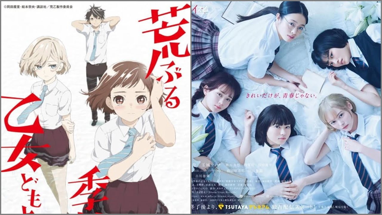 La serie live-action Araburu Kisetsu no Otome-domo yo revela su