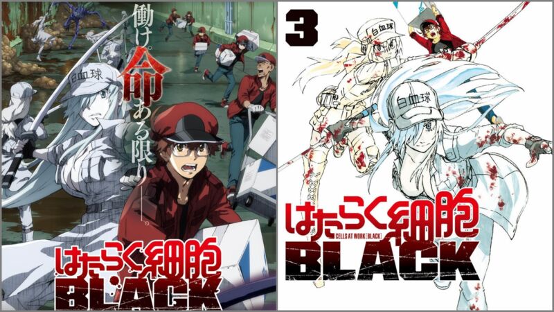 Seiyuu Hataraku Saibou Black