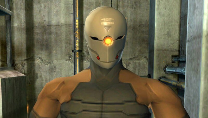 Gray Fox