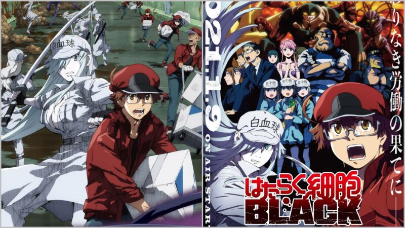 Detail Terbaru Anime Hataraku Saibou Black