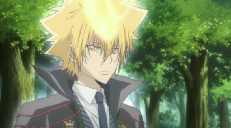 Bos Vongola Family Giotto