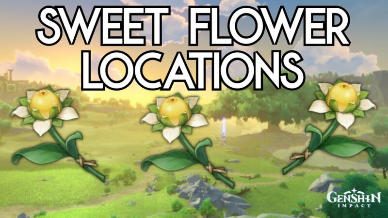 Sweet Flower Genshin Impact