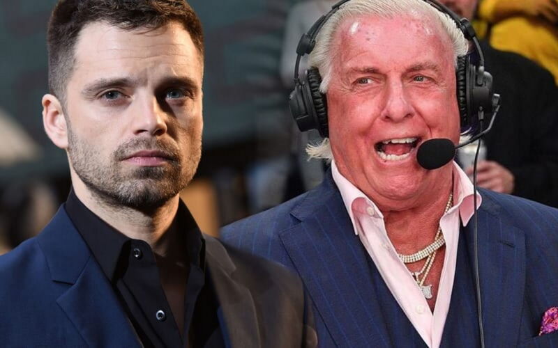 sebastian stan ric flair