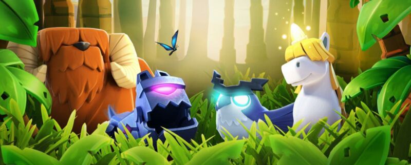 Hero Pet Coc