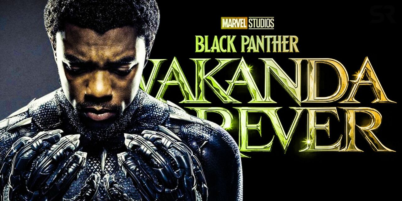 Black Panther: Wakanda Forever instal