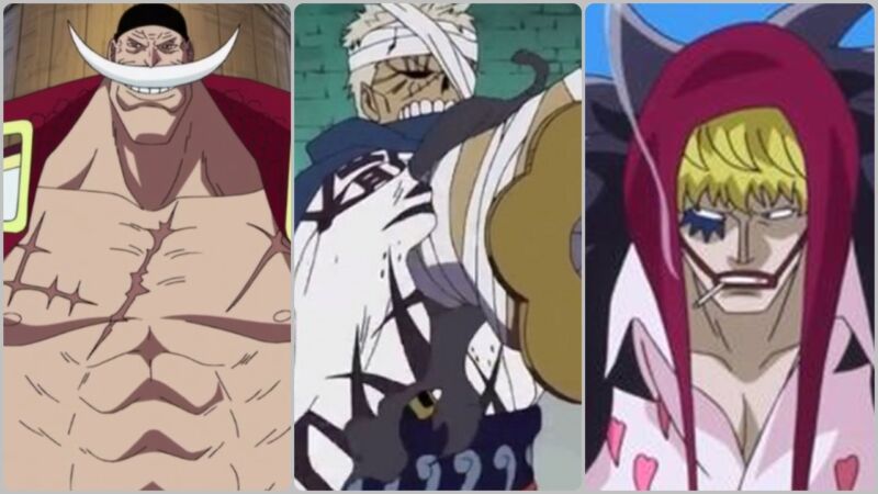 Inilah Karakter One Piece Yang Sudah Mati, Tapi Masih Dikenang
