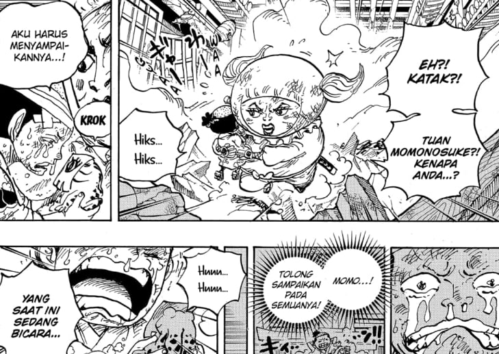 Pesan Luffy Kepada Momonosuke + Manga One Piece 1015