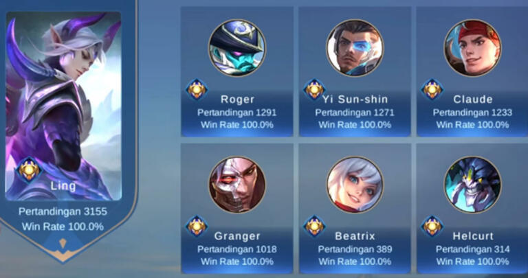 Player Winrate 100%