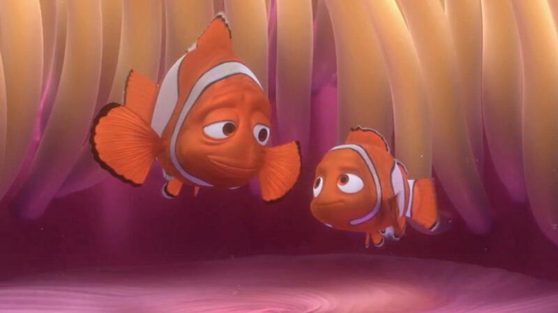 seri finding nemo