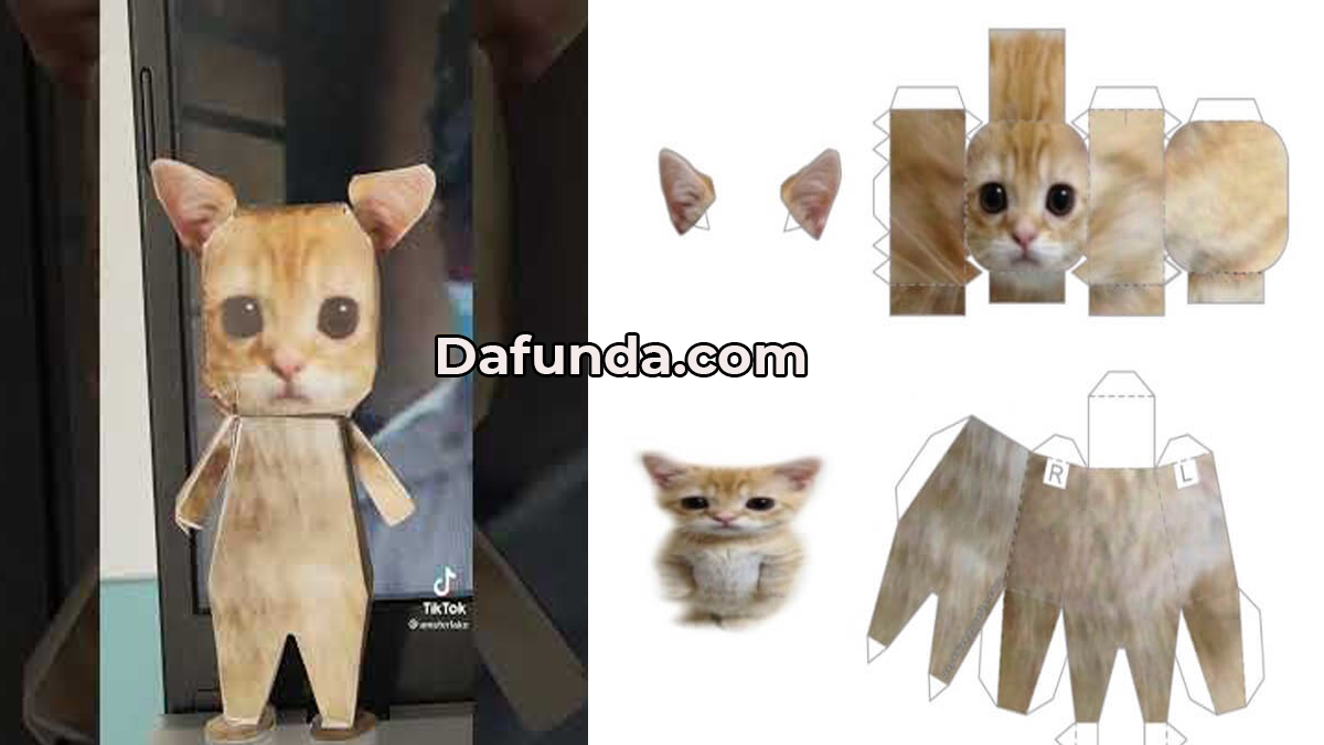 Dudul Kucing Tiktok