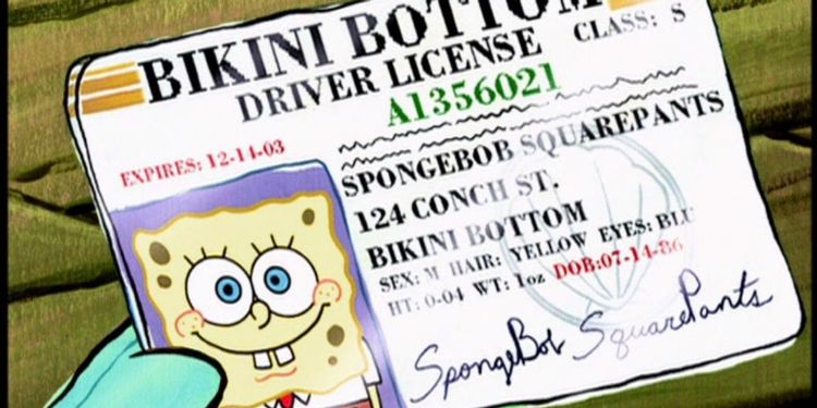 Nickelodeon Spongebob Squarepants Spongebob Surat Ijin Mengemudi