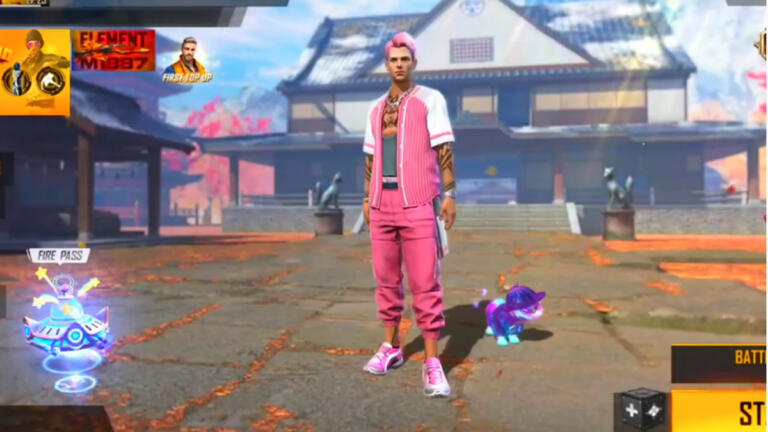 Bundle Pink Wink Ff 1