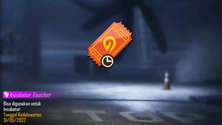 13 Incubator Voucher Ffsr 2022