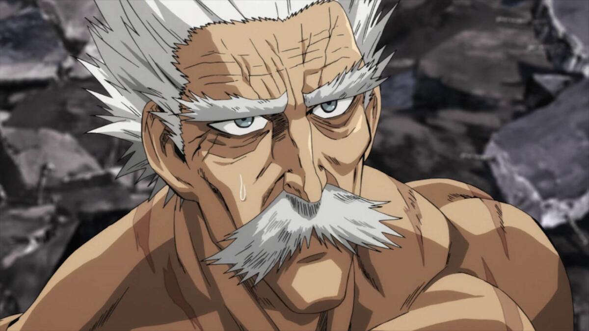 Fakta Unik Silver Fang, Seorang Ahli Beladiri Yang Menjadi Hero