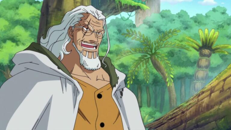 5 Alasan Kenapa Silver Rayleigh Tidak Menolong Ace