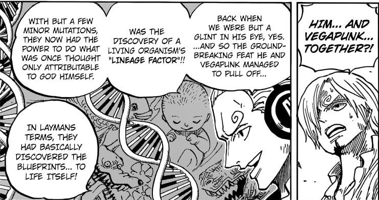 Menemukan Lineage Factor Bersama Judge | kehebatan Vegapunk di One Piece