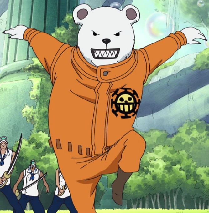 Law and Bepo, Bear, Anime, Manga, Ope Ope No Mi, Former