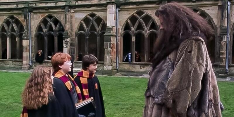 Warner Bros Pictures Harry Potter Hermione Ron Hagrid
