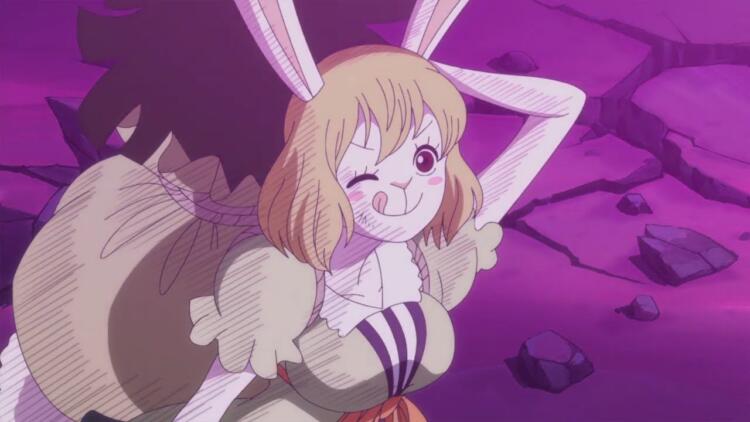 Akhirnya Terungkap, Inilah 5 Alasan Carrot Terpilih Jadi Pemimpin Baru Suku Mink