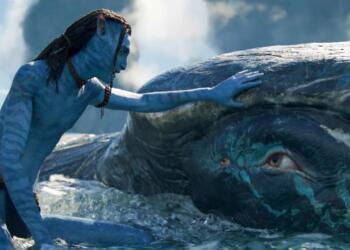 Mengenal Tulkun, Hewan Pintar di Film Avatar: The Way of Water