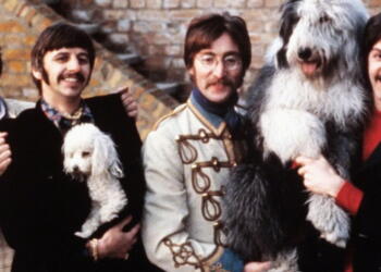 lagu the beatles binatang