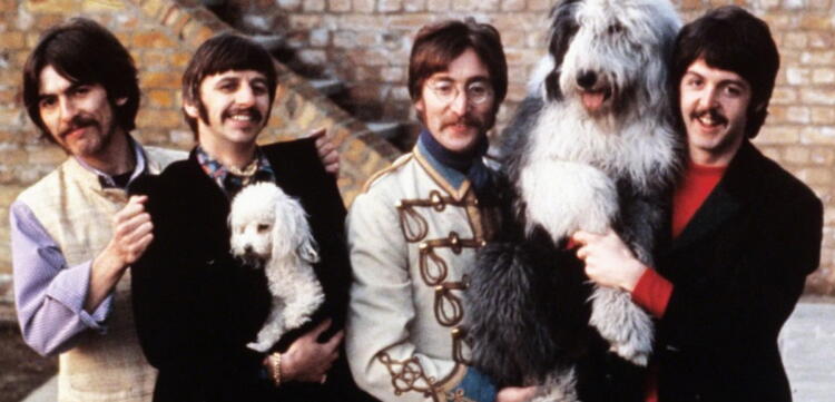 lagu the beatles binatang