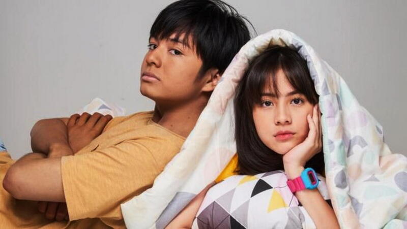 sinopsis film dua garis biru
