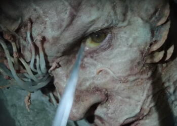 infeksi cordyceps dunia nyata