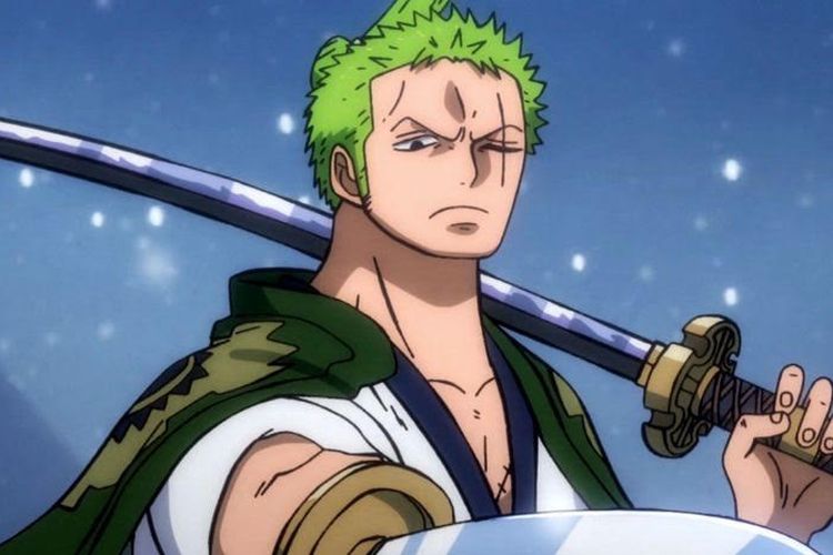 One Piece reveals Zoro's family tree and shows that Eichiiro Oda doesn't  like the swordsman - Meristation