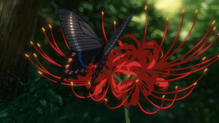 6 Fakta Menarik Bunga Higanbana, Bunga Kematian di Anime 9 6 Fakta Menarik Bunga Higanbana, Bunga Kematian di Anime