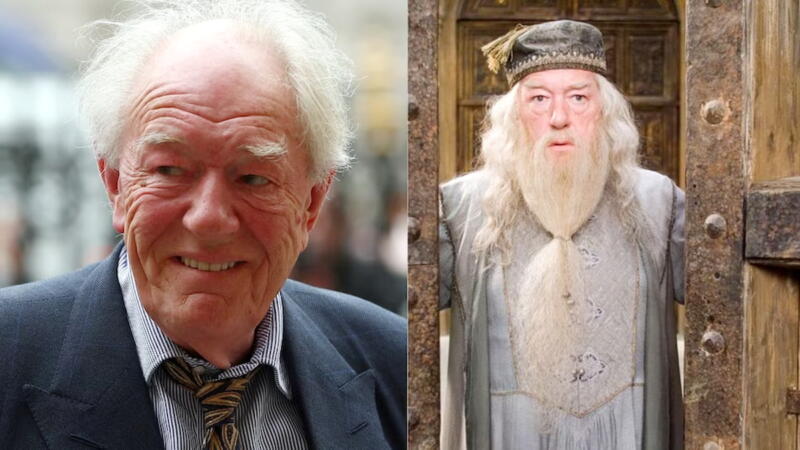 dumbledore michael gambon