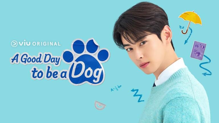 5 Alasan Kenapa Drakor A Good Day to Be a Dog Seru Untuk Ditonton 12 5 Alasan Kenapa Drakor A Good Day to Be a Dog Seru Untuk Ditonton