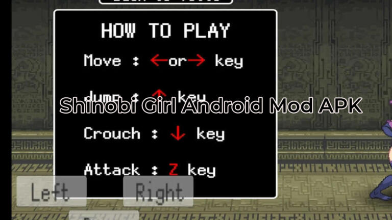 Shinobi Girl Android Mod Apk 1