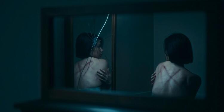 Sehidup Semati/Starvision