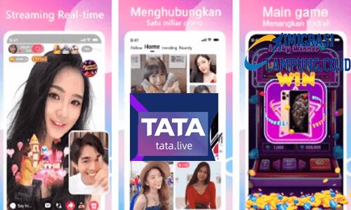 Tata Live Mod Apk 1