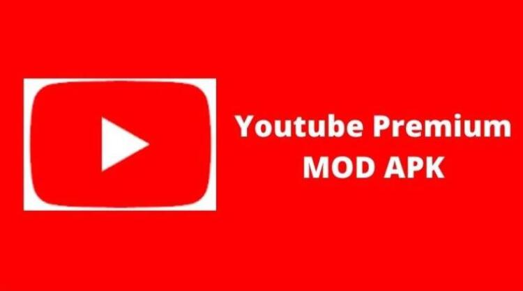 YouTube Premium Mod APK 19 01 33 Tanpa Iklan Terbaru 2024 Dafunda com YouTube Premium Mod APK 19 01 33 Tanpa Iklan Terbaru 2024 Dafunda com