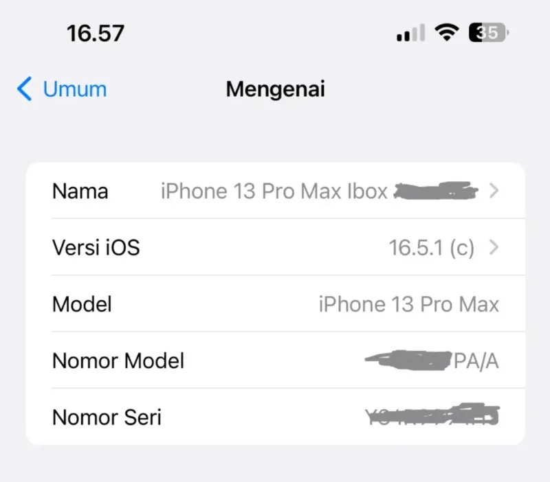 Perbedaan iPhone Inter dan iBox