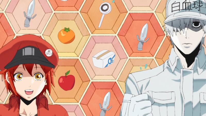 Cells-at-work | rekomendasi anime edukasi