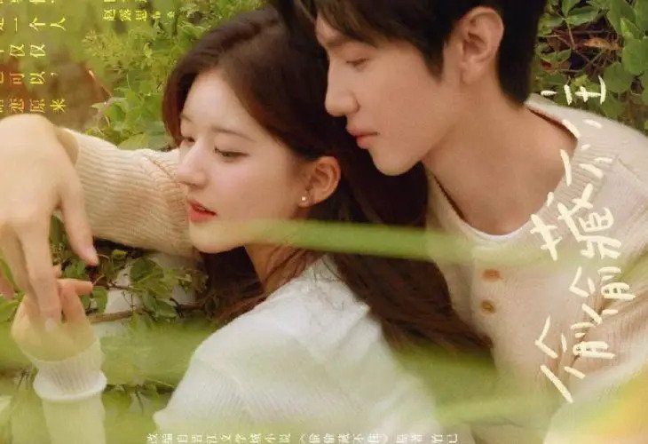 Fakta Drama China Hidden Love