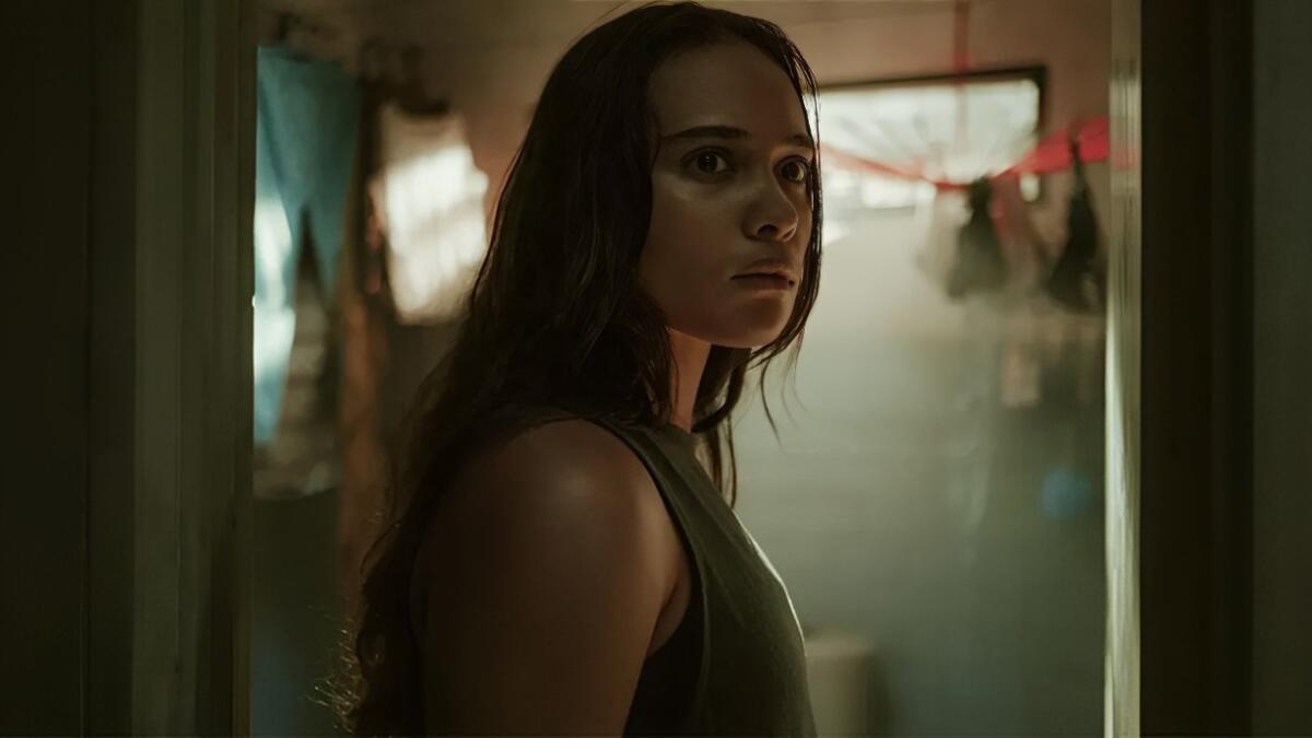 Kemungkinan Sekuel untuk Film The Shadow Strays