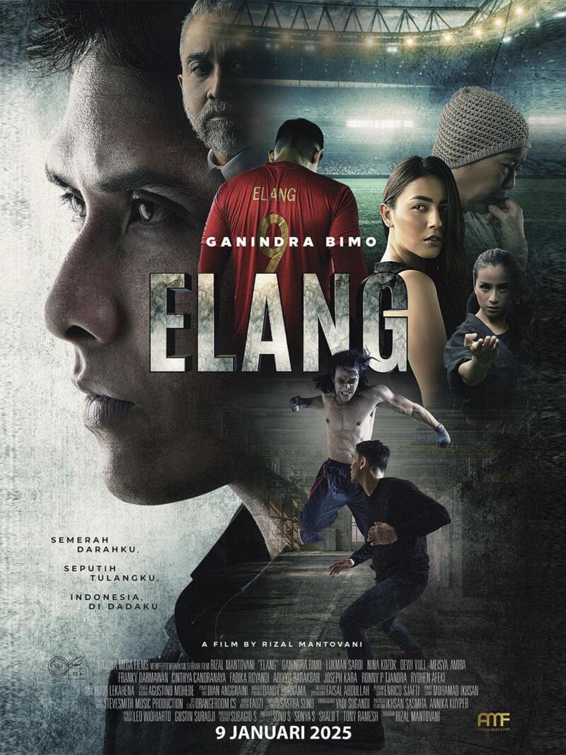 Elang