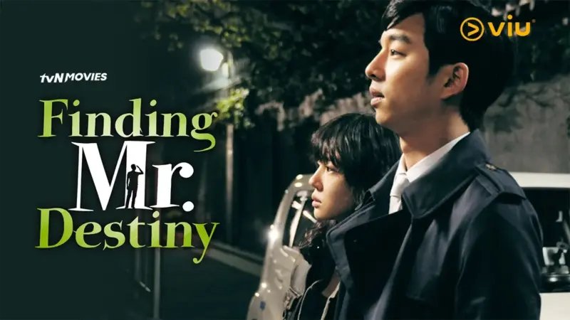 Finding Mr. Destiny (2010)