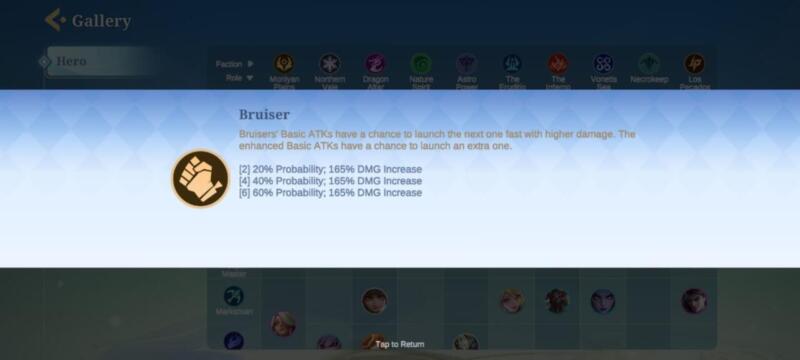 Bruiser
